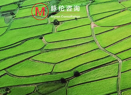 脈倫企業(yè)管理咨詢(xún)（上海）有限公司